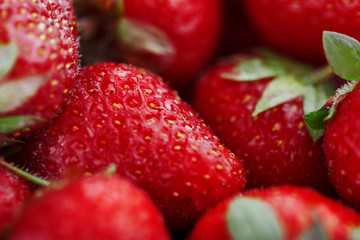 Juicy, ripe natural red strawberries without GMO. Strawberry - full frame. Close-up