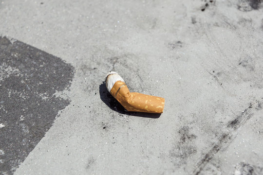 View of the cigarettes and tobacco. Tobacco contains the alkaloid nicotine, which is a stimulant, and harmala alkaloids. Dried tobacco leaves are mainly used for smoking in cigarettes,