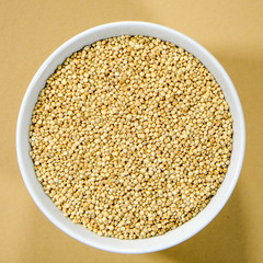 Bowl of Healthy Dry Quinoa Seeds