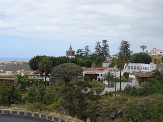 Icod de los Vinos, Tenerife