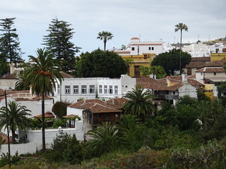 Fototapeta na wymiar Icod de los Vinos, Tenerife