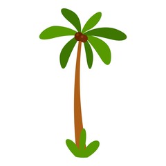 Tropical palm tree icon. Flat illustration of tropical palm tree vector icon for web design