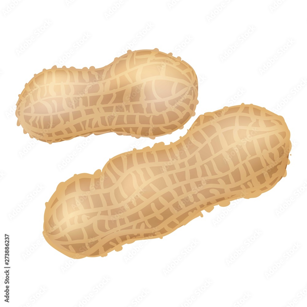 Poster peanut icon. cartoon of peanut vector icon for web design isolated on white background