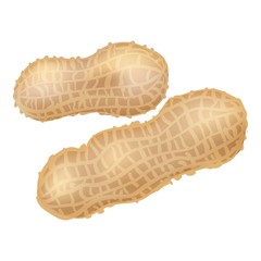 Peanut icon. Cartoon of peanut vector icon for web design isolated on white background