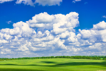 Fototapeta premium picturesque view of trees growing on green field with white fluffy clouds on blue sky at sunny day