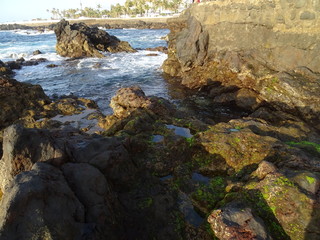 Fototapeta premium Puerto de la Cruz, Tenerife