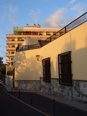 Puerto de la Cruz, Tenerife