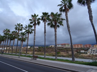 Puerto de la Cruz, Tenerife