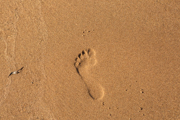 human footprints in the wet sand