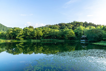 Fototapeta premium lake in forest