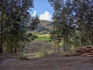 Cultivated terraced fields, Ethiopia