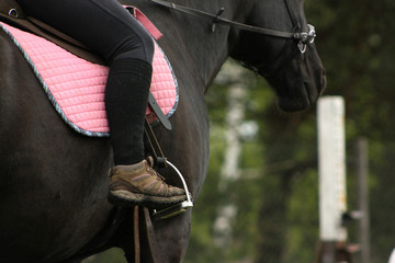 Amateur rider rides a black horse outside, Details of horseback riding.