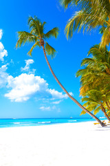 Vacation summer holidays background wallpaper - sunny tropical exotic Caribbean paradise beach with white sand in Seychelles Praslin island Thailand style with palms and rocks vertical