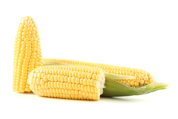 Ripe corn isolated on white background