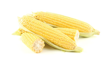 Ripe corn isolated on white background