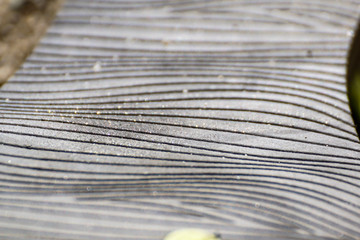 abstract curved lines formed by tar on a road