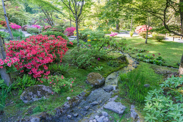 Colorful Garden And Stream 2