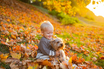 Simple happiness. Child play with yorkshire terrier dog. Toddler boy enjoy autumn with dog friend. Small baby toddler on sunny autumn day walk with dog. Happy childhood. Sweet childhood memories