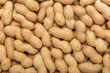 Peanuts in the shell. Texture for designers. Food. Background of peanuts.