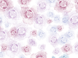 Abstract colorful rose flower blooming on watercolor illustration painting background.