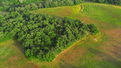 Aerial view of a  field