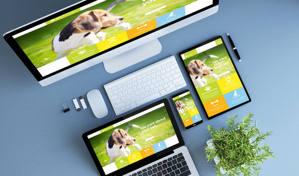 top view blue devices pet website