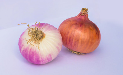 close up of two fresh onion bulbs