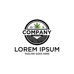 Modern cannabis logo templates. Several leaf and sacred geometry illustrations and symbols