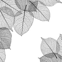 Beautiful background with autumn leaves . Vector illustration. EPS 10