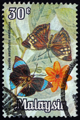 Postage stamp Malaysia 1970 common saturn, butterfly