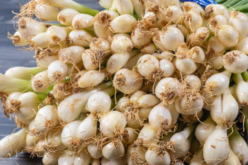 close up of bunch of Scallion or spring onions
