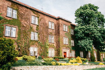Krakow, Poland - April 26, 2019: Creeper on the wall of Wawel Royal Castle in Krakow, Poland
