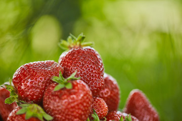 selective focus of fresh organic strawberries on green grass