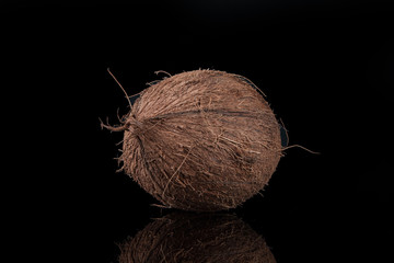 tropical coconut on a black background