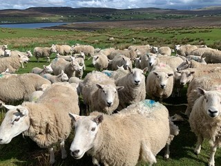 Isle of Skye Schottland