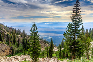 View of Forest and Valley and River