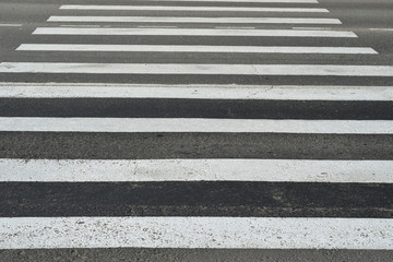 Fototapeta premium cross the road. Pedestrian crossing on the city road. Traffic, safety, dangerous, urban environment. Movement. Speed reduction. Traffic regulations.