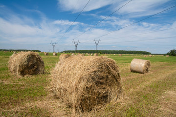 Haystacks lie in  field against  background of high-voltage wires and a blue sky with clouds.