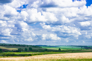 picturesque view of trees growing on green field with white fluffy clouds on blue sky at sunny day