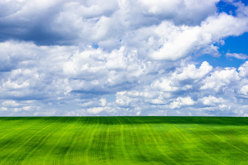 picturesque view of trees growing on green field with white fluffy clouds on blue sky at sunny day