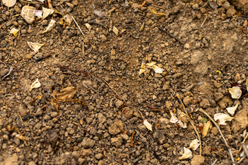 Textura tierra