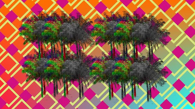 Palm tree and square patterns