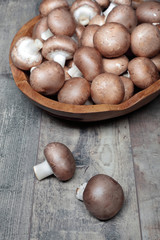A lot of champignions in the wooden box