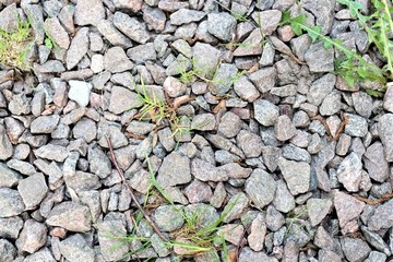 Textural fragment of gravel walkway as the basis of the background.