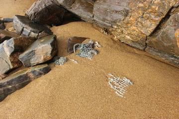 Sable et rocher en Vendée