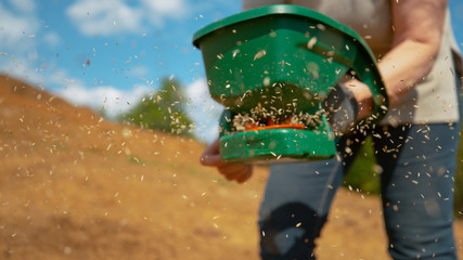 CLOSE UP: Farmer sowing grain in a fertile patch of soil on their large property