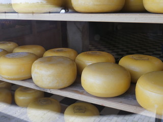 Zaanse Schans, Netherlands - May 2019: Heads of cheese lie on the shelves of a warehouse. Production of Dutch cheese.
