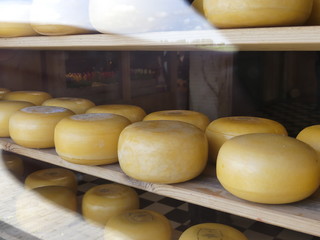 Zaanse Schans, Netherlands - May 2019: Heads of cheese lie on the shelves of a warehouse. Production of Dutch cheese.