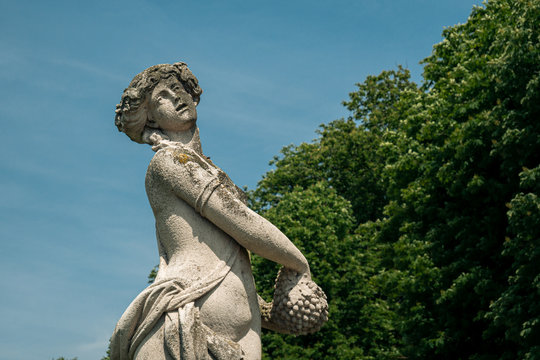 Grazil Bilder – Durchsuchen 2,256 Archivfotos, Vektorgrafiken und ...