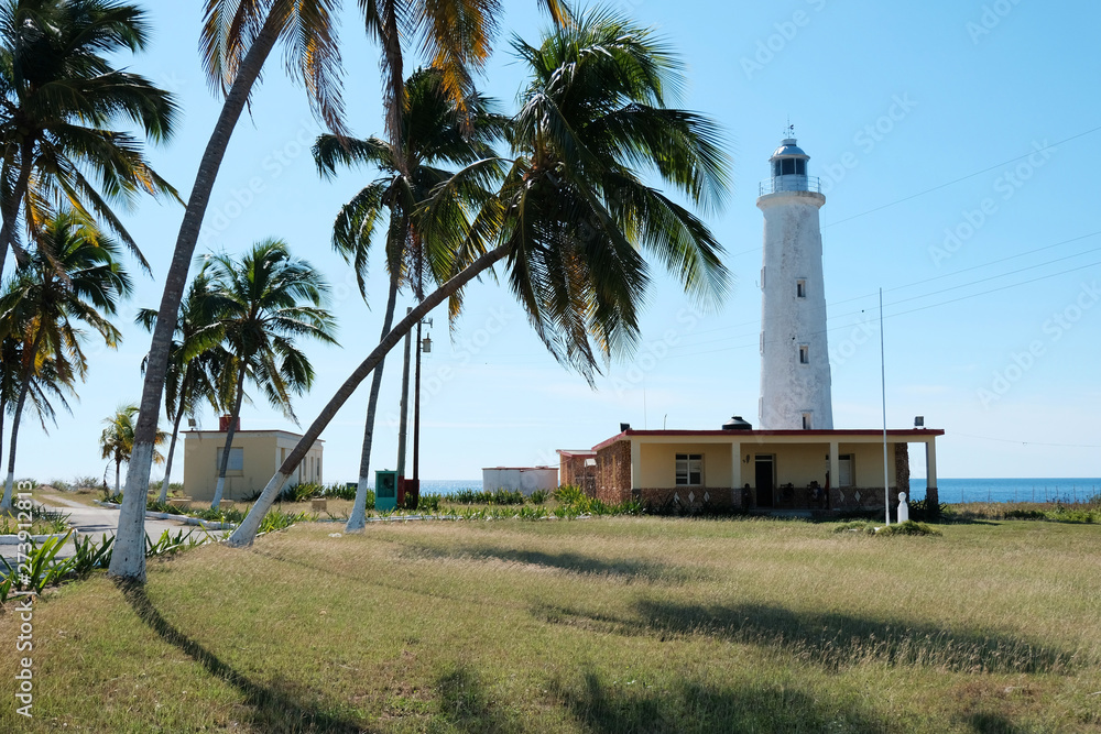 Wall mural lighthouse under palm trees, cuba